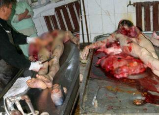 МОРГ, РАСЧЛЕНИНГРАД, СТАБИЛЬНОСТЬ