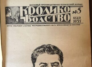 ОМЕРЕКА, НЕ ЗДОВАЙСО! ТРАМП РЕШИЛ УСТРОИТЬ МАЙДАН