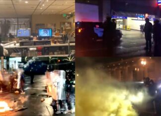 Новости США: Портленд, не здовайсо! ПОКА НЕГРЫ НЕ КОНЧАТСЯ!