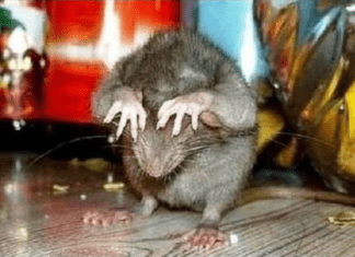 КТО НЕ СПРЯТАЛСЯ — Я НЕ ВИНОВАТ. В понедельник мир может стать совершенно другим