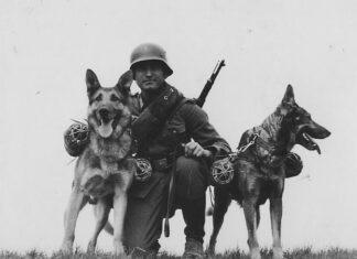 ОХОТА ОБЪЯВЛЕНА: ФСИН пообещала «предпринять все действия» для задержания Навального