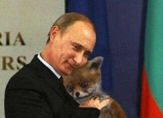 ССАНИНА КАБАЕВОЙ: Прививка–вторая натура