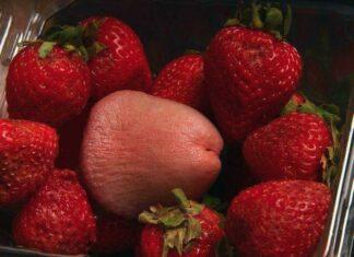 США ПООБЕЩАЛИ ОТОРВАТЬ РОССИИ ХУЙ