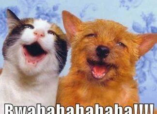 ПАПАША МИЛЛЕР: УБЫТКИ ГАЗПРОМА ОПЛАТЯТ ВСЕ РОССИЯНЕ. Молчать, рабы!