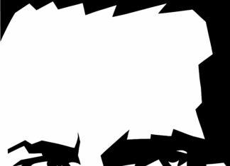 Второе последнее слово: «Наша власть превратилась в огромную свинью»