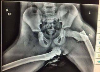 Наш ответ «возмутительным случаям проявления откровенной русофобии»