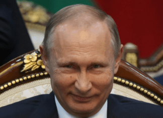 Чем дальше в лес — тем толще партизаны.