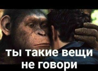 Поставили на счетчик