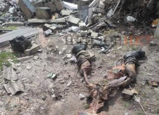 КАК ПОСЛЕ ПОБЕДЫ БУДЕМ ЛЮСТРИРОВАТЬ ПУТЛЕРОВЦЕВ?